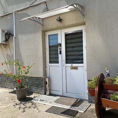 Evergreen Apartment Timişoara Eksteriør billede