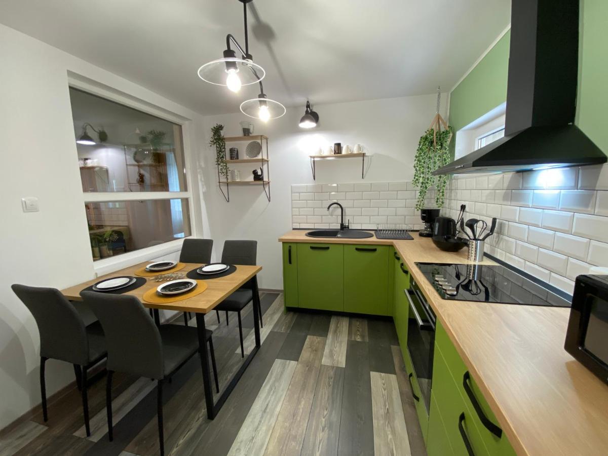 Evergreen Apartment Timişoara Eksteriør billede
